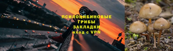 МДПВ Богданович