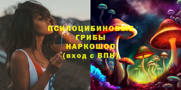 кокс Богородицк