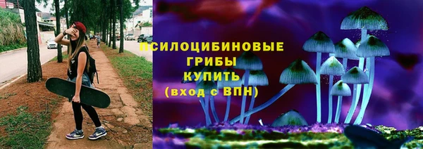 МДПВ Богданович