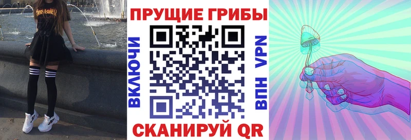 OMG зеркало Мезень мориарти какой сайт купить наркотик Галлюциногенные грибы Psilocybe